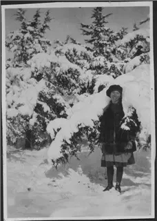 small_dortha's 2017-216-d.webp